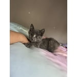 Image 3 of customer photos