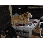 Image 6 of customer photos