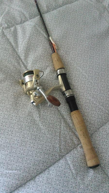 pflueger trion gx im8 graphite rod