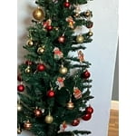 Image 4 of customer photos