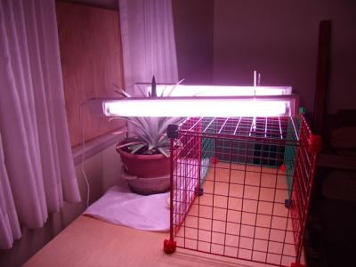 Lights Of America 24 Fluorescent Grow Light Fixture