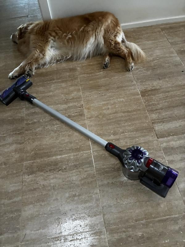 Customer reviews for Dyson V7 Advanced Cordless Vacuum Cleaner