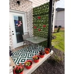 Image 4 of customer photos