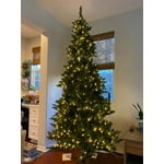 Image 4 of customer photos