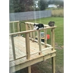 Image 1 of customer photos