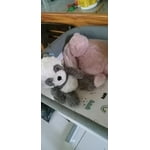 Image 2 of customer photos