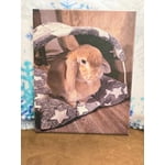 Image 1 of customer photos