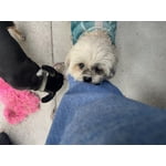 Image 2 of customer photos