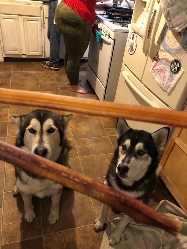 cadet bully sticks walmart