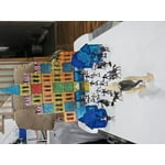 Image 1 of customer photos