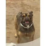 Image 1 of customer photos