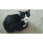 Image 2 of customer photos