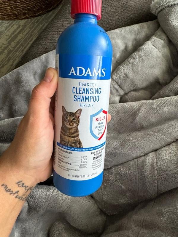 Kitten flea shampoo walmart 2025