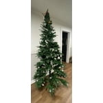 Image 7 of customer photos