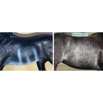 Image 3 of customer photos