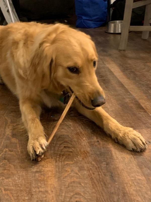 cadet bully sticks walmart