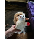 Image 6 of customer photos