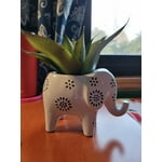Image 6 of customer photos
