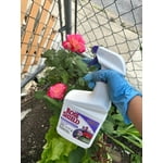 Image 2 of customer photos