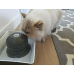 Image 5 of customer photos