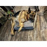 Image 4 of customer photos