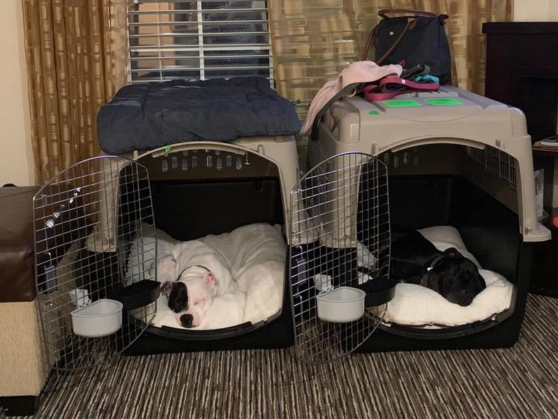 petmate ultra vari kennel 40 inch