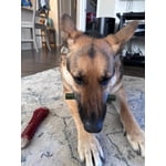 Image 1 of customer photos