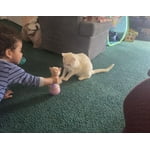 Image 3 of customer photos