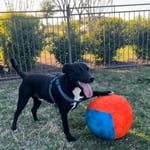 Image 4 of customer photos