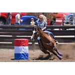 Image 3 of customer photos