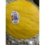 Fresh Spaghetti Squash, Each