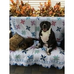 Image 4 of customer photos