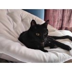 Image 7 of customer photos