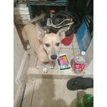 Image 2 of customer photos