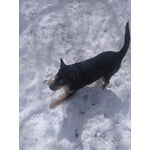 Image 4 of customer photos