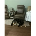 Image 1 of customer photos