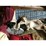 Image 6 of customer photos