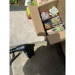 Image 3 of customer photos