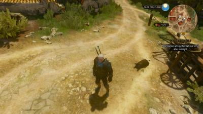 walmart witcher 3 switch
