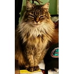 Image 3 of customer photos