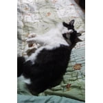 Image 6 of customer photos