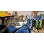 Image 1 of customer photos