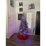 Image 3 of customer photos