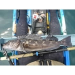 Image 5 of customer photos