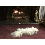 Image 7 of customer photos