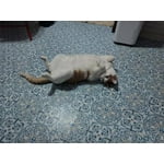 Image 5 of customer photos