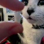 Image 3 of customer photos