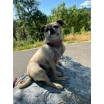 Image 2 of customer photos