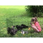 Image 2 of customer photos