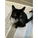 Image 2 of customer photos